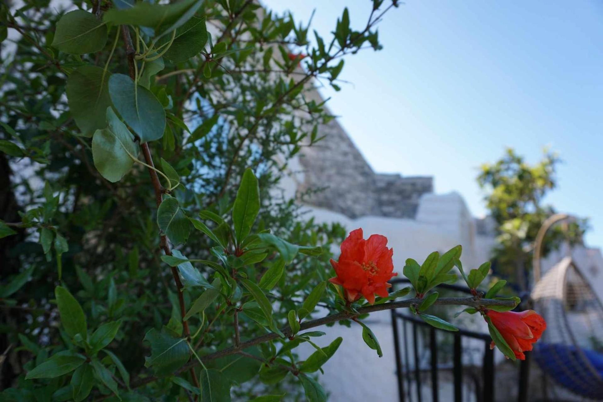 Trullo Biricchino Two Bedroom By TripОстуни Экстерьер фото